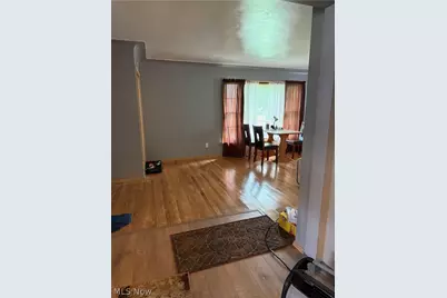 16727 Grovewood Avenue, Loveland, OH 44110 - Photo 12