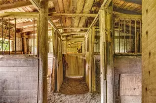 66630 Glencoe Rd, St Clairsville, OH 43950 - Photo 6