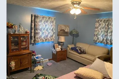 209 Grandview Street, Scio, OH 43988 - Photo 32