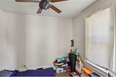 942 E 79th Street, Loveland, OH 44103 - Photo 44