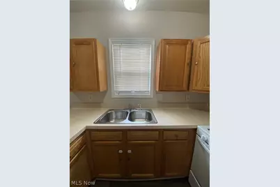 2918 Tampa Avenue, Loveland, OH 44109 - Photo 12
