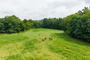 172 W County Line Rd, Greene Township, PA 16134 - Photo 38