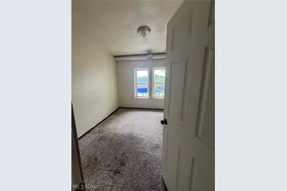 976 E 70th Street, Loveland, OH 44103 - Photo 22