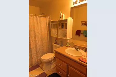60 Woods Boulevard, Leetonia, OH 44431 - Photo 16