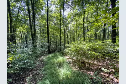 43532 Township Road 55, Coshocton, OH 43812 - Photo 40