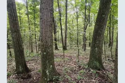 16786 Roses Run Road, Salineville, OH 43945 - Photo 6