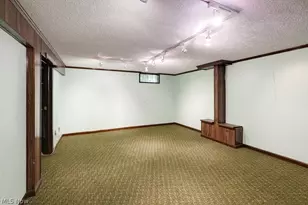 10007 Patton St, Twinsburg, OH 44087 - Photo 26