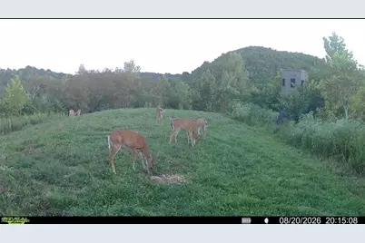 County Road 181, Ironton, OH 45638 - Photo 6