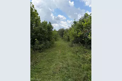 County Road 181, Ironton, OH 45638 - Photo 16