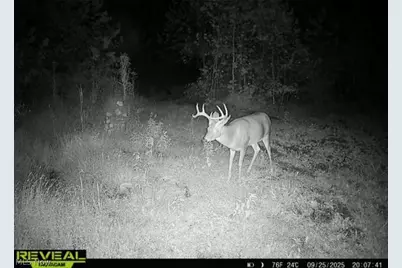 County Road 181, Ironton, OH 45638 - Photo 10