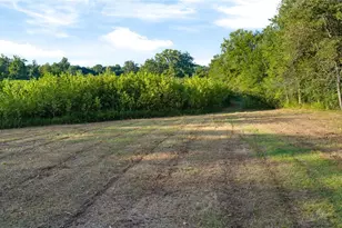 410 Columbia Rd, Valley City, OH 44280 - Photo 10