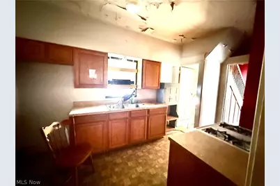 1911 Pointview Avenue, Youngstown, OH 44502 - Photo 8