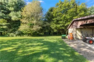 5270 Township Rd 219, Bloomingdale, OH 43910 - Photo 10