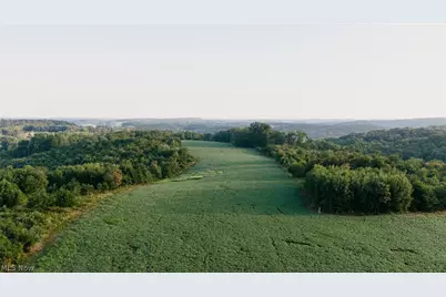 Nickel Road, Maineville, OH 43945 - Photo 4