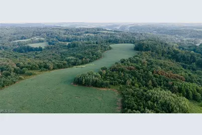 Nickel Road, Maineville, OH 43945 - Photo 2