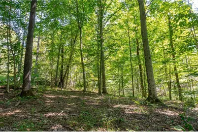 0 County Rd 269, Glouster, OH 43730 - Photo 14