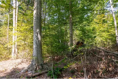 0 County Rd 269, Glouster, OH 43730 - Photo 20