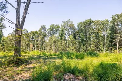 0 County Rd 269, Glouster, OH 43730 - Photo 6