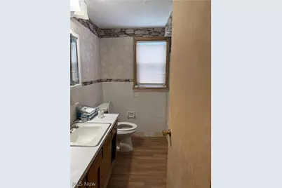 16727 Grovewood Avenue, Loveland, OH 44110 - Photo 10