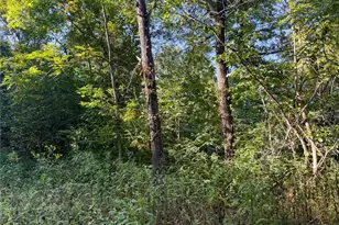 41298 Pleasant Ridge Rd, Graysville, OH 45734 - Photo 10