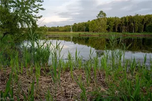 2920 State Route 193 N, Jefferson, OH 44047 - Photo 24