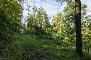 2115 Goss Frk Rd, Whipple, OH 45788 - Photo 12