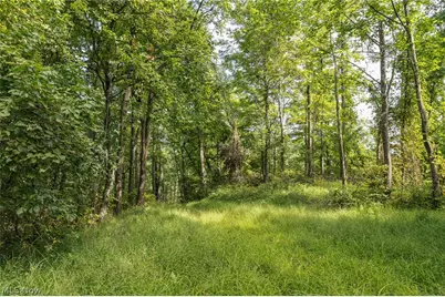 2115 Goss Fork Road #1, Whipple, OH 45788 - Photo 18