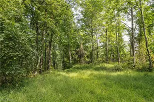 2115 Goss Frk Rd, Whipple, OH 45788 - Photo 18