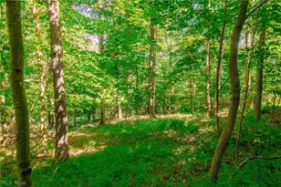 13420 Township Rd 26, Killbuck, OH 44637 - Photo 44