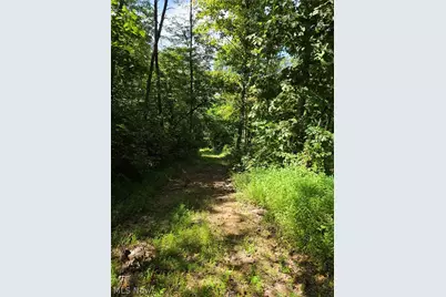 Brimstone Road, Coolville, OH 45732 - Photo 14