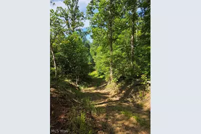 Brimstone Road, Coolville, OH 45732 - Photo 16