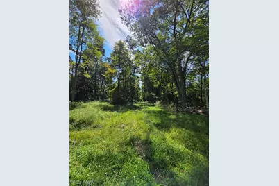 Brimstone Road, Coolville, OH 45732 - Photo 12