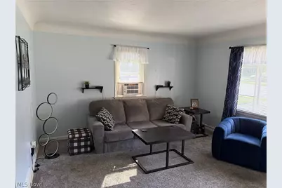 223 E Cassell Avenue, Barberton, OH 44203 - Photo 16