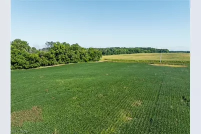 Sycamore Road, Centerburg, OH 43011 - Photo 10