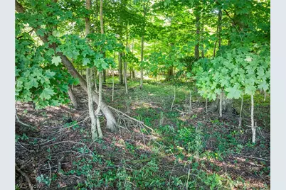 Sycamore Road, Centerburg, OH 43011 - Photo 28