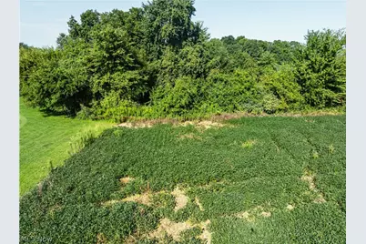 Sycamore Road, Centerburg, OH 43011 - Photo 40