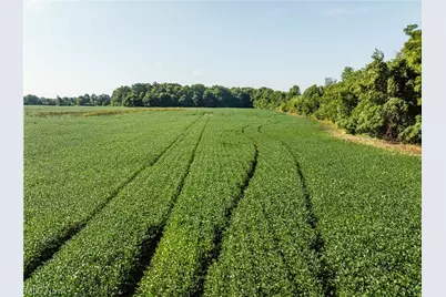 Sycamore Road, Centerburg, OH 43011 - Photo 14