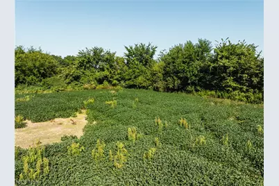 Sycamore Road, Centerburg, OH 43011 - Photo 42