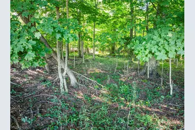 Sycamore Road, Centerburg, OH 43011 - Photo 26
