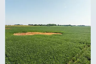 Sycamore Road, Centerburg, OH 43011 - Photo 30