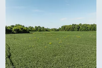 Sycamore Road, Centerburg, OH 43011 - Photo 4