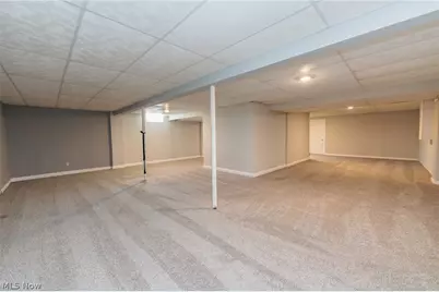 711 Bisson Avenue, Akron, OH 44307 - Photo 28