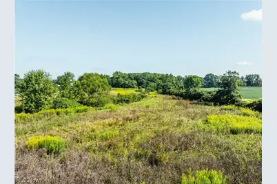 Webster Road, Centerburg, OH 43011 - Photo 4