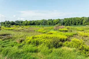 Webster Rd, Centerburg, OH 43011 - Photo 1