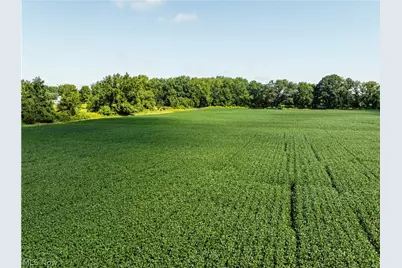 Webster Road, Centerburg, OH 43011 - Photo 14