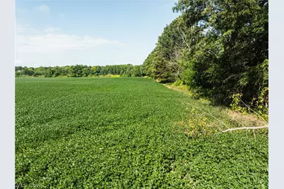 Webster Road, Centerburg, OH 43011 - Photo 10