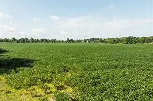 Webster Rd, Centerburg, OH 43011 - Photo 1