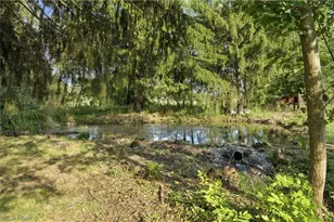 9247 Youngstown - Pittsburgh Rd, Youngstown, OH 44514 - Photo 42