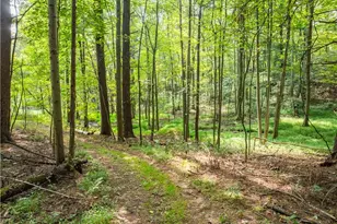 5556 Blacksnake Hill Rd NE, Dover, OH 44622 - Photo 46