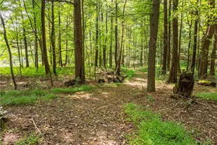 5556 Blacksnake Hill Rd NE, Dover, OH 44622 - Photo 44